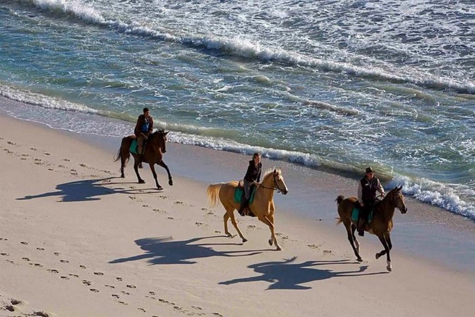 Puerto Plata: 2-Hour Horseback Ride on the Beach - Panoramic Views and Scenery