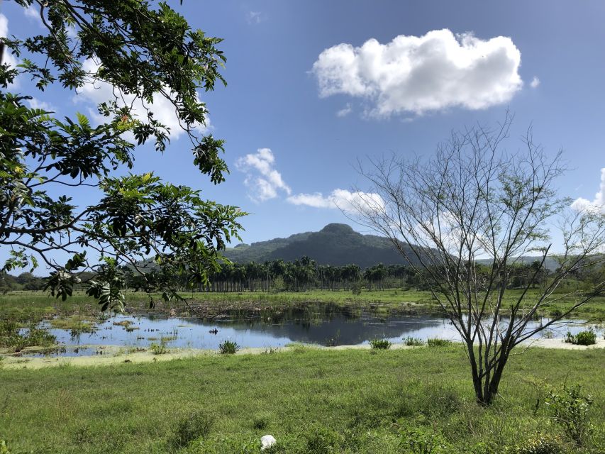 Puerto Plata: Adventure Park Day Pass and Transport - Key Points