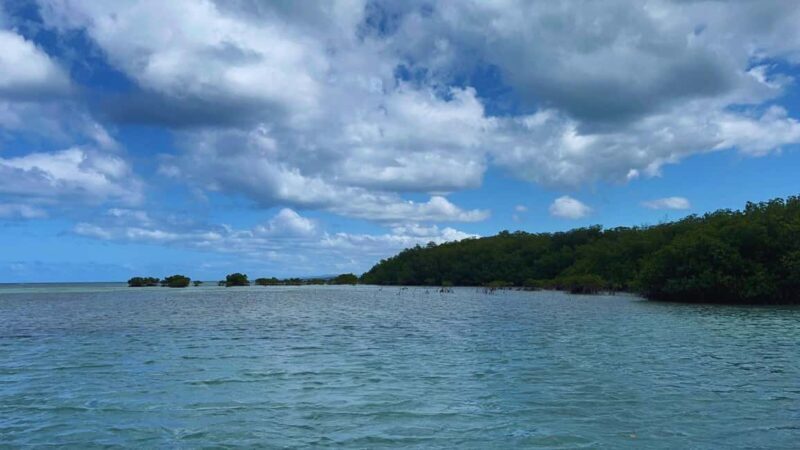 Puerto Plata: Amber cove and Taino Bay guided tour - Who Should Consider This Tour?