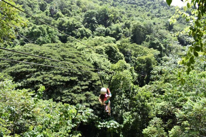 Puerto Plata/Amber Cove: Zipline and Waterfalls with Lunch - An Overview of the Adventure: What Makes This Tour Special