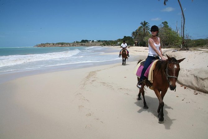 Puerto Plata: Beach Half Day Horseback Riding - Inclusions and Logistics
