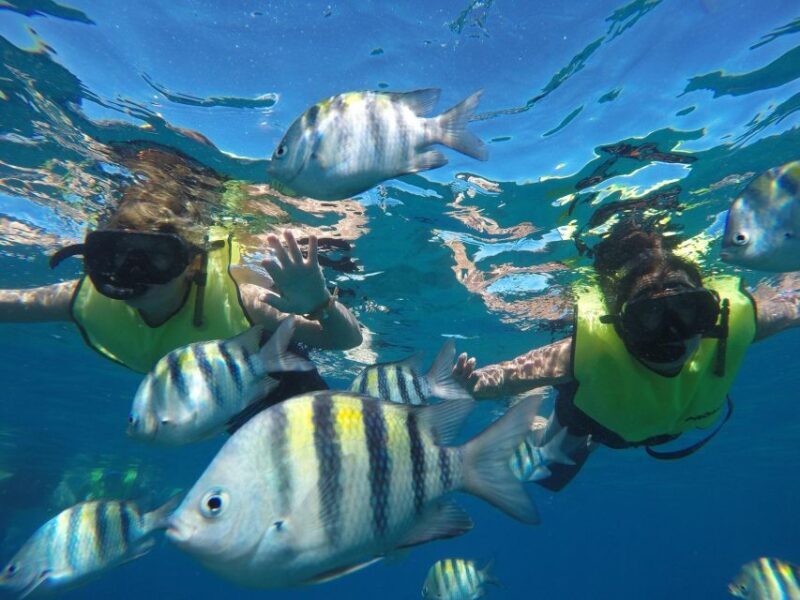 Puerto Plata: Catamaran Snorkeling Trip with Buffet - Who Should Book This Tour?