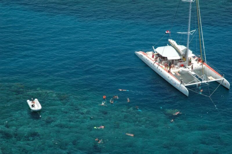Puerto Plata: Catamaran Snorkeling Trip with Buffet - The Sum Up