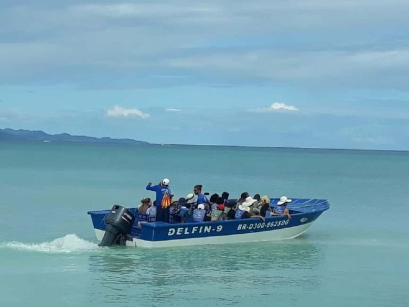 Puerto Plata: Cayo Arena Tour with Snorkeling and Mangroves - An in-depth look at the tour