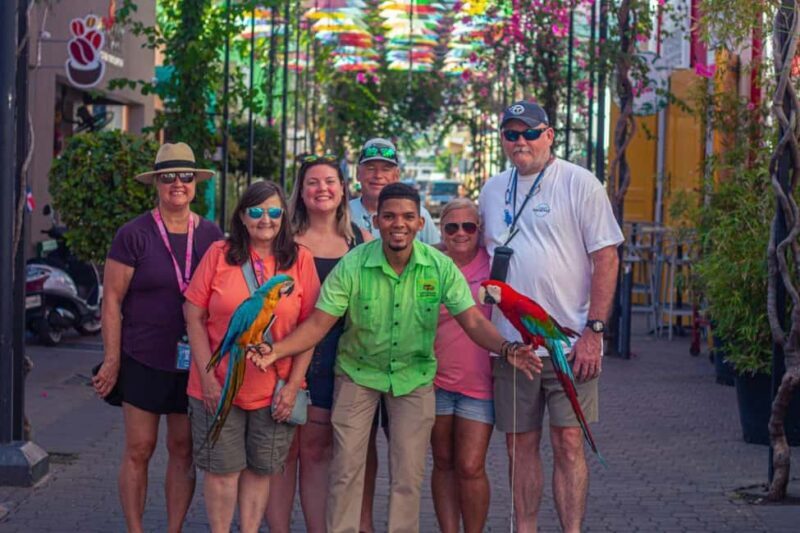 Puerto Plata City Tour - Who Should Consider This Tour