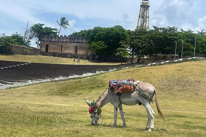 Puerto Plata City Tour Ron Puros Culture and History - FAQ