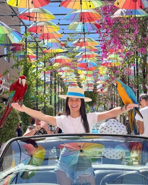 Puerto Plata City Tour + Top of the Cable Car by Driving - Price and Value