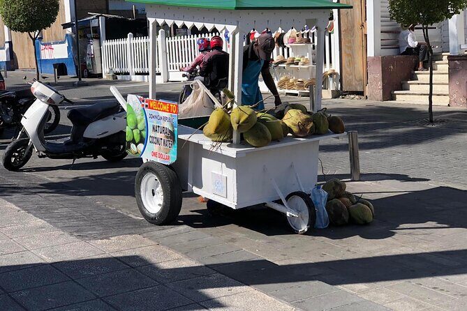 Puerto Plata City Tour with beach Taino bay & amber cove - Who Is This Tour Best For?