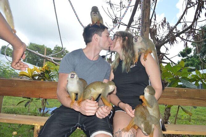 Puerto Plata City Tour with Monkeys - A Tour That Balances Culture, Scenery, and Fun