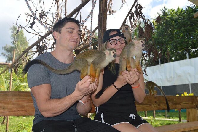 Puerto Plata City Tour with Monkeys - The Sum Up: Who Will Love This Tour?