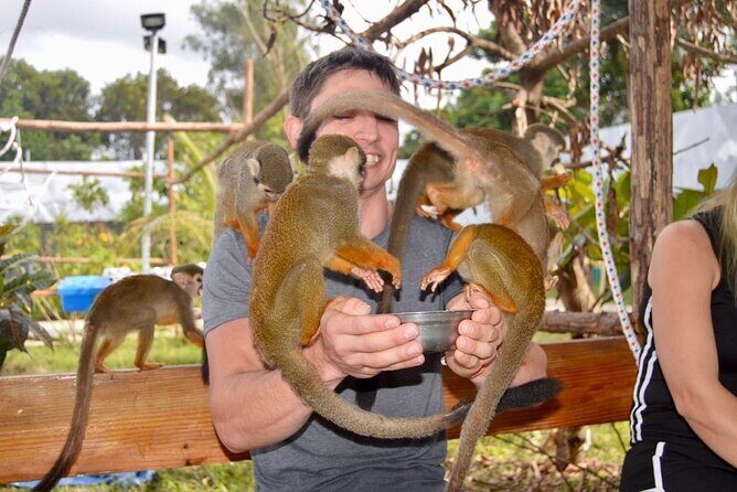 Puerto Plata City Tour with Monkeys - FAQs