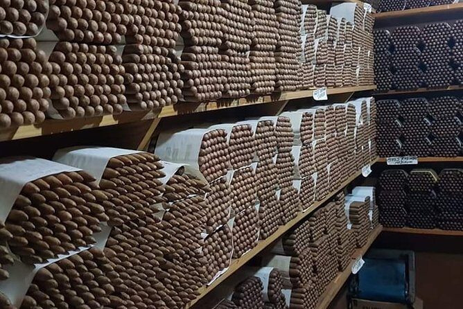 Puerto Plata City Tours from amber cove and Taino bay - Stop 2: Amber Museum and Amber Specimens