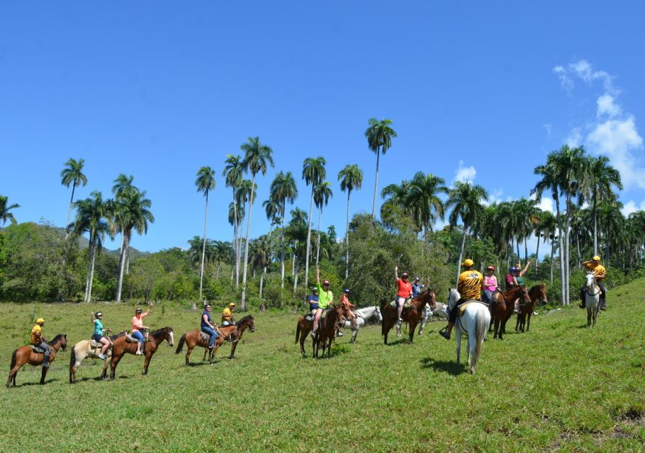 Puerto Plata Combo Experience: Zip-line + Horseback Riding - Key Points