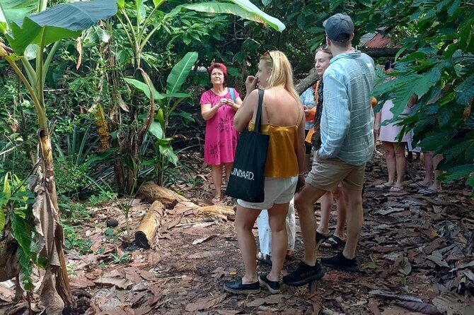 Puerto Plata Cultural City Tour  Half Day Experience - Key Points