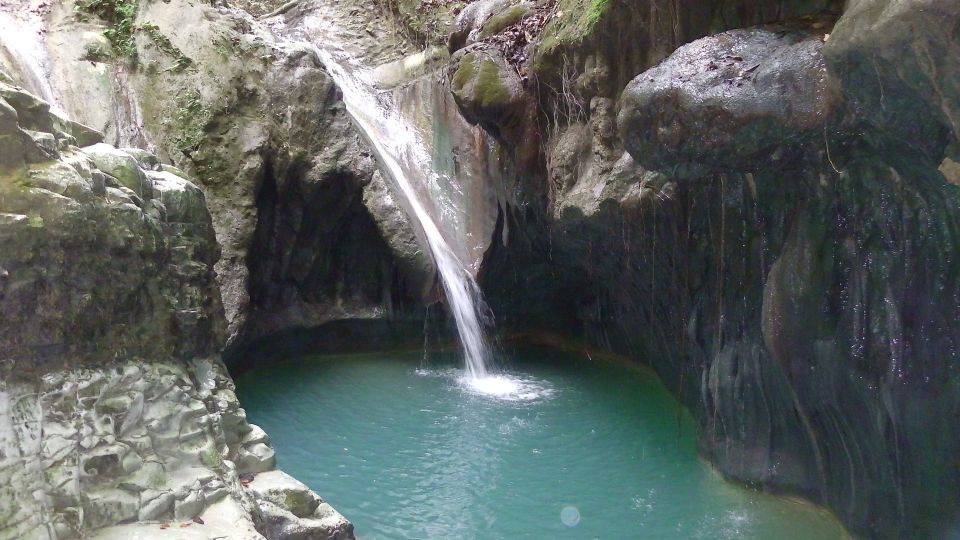 Puerto Plata: Damajagua Waterfalls With Buggy or Horse Ride - Exploring the Damajagua Waterfalls