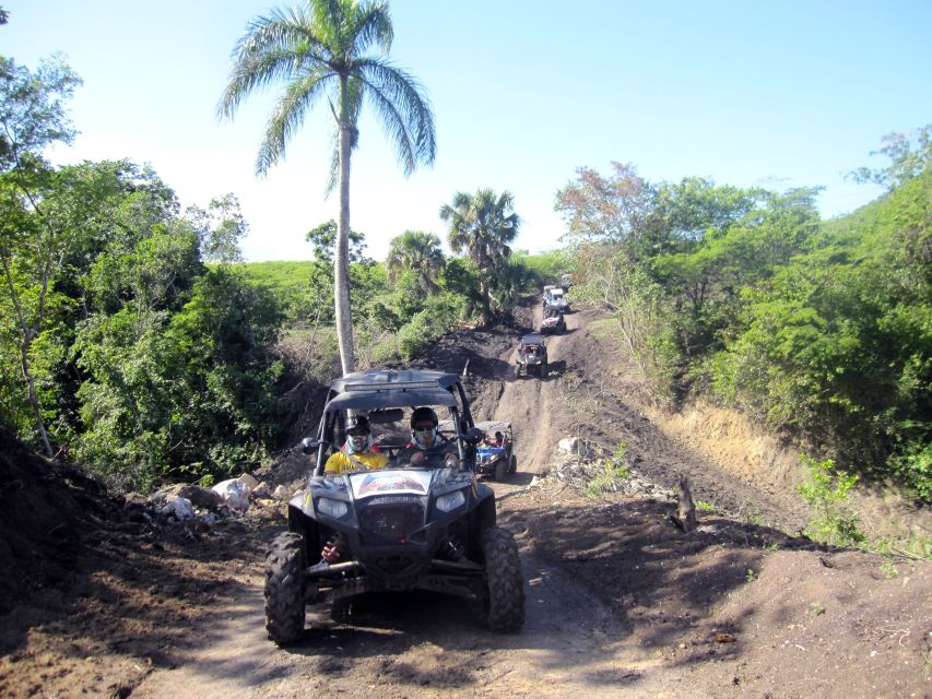 Puerto Plata: Damajagua Waterfalls With Buggy or Horse Ride - Frequently Asked Questions