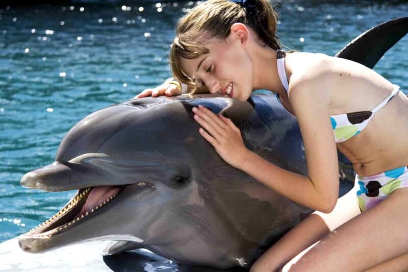 Puerto Plata: Dolphin Encounter at Ocean World - Final Thoughts
