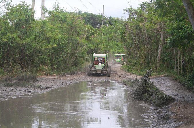 Puerto Plata Dune Buggy Adventure - Amber cove & Taino Bay - The Sum Up: Who Should Consider This Tour?