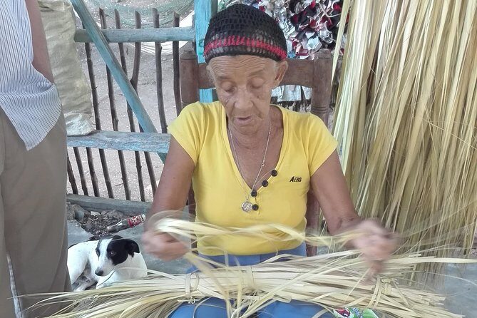 Puerto Plata: Escapada Cultural Tour in Puerto Plata - The Sum Up