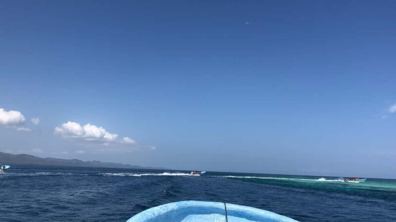 Puerto Plata: Full-day trip to Cayo Arena and Punta Rucia - Exploring Mangroves: A Lush Interlude