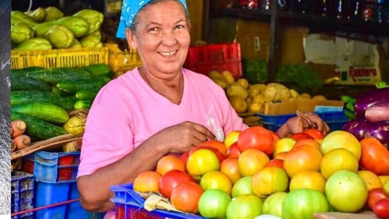 Puerto Plata: Guided City Tour with Historic Center and San Felipe Fort - Key Points