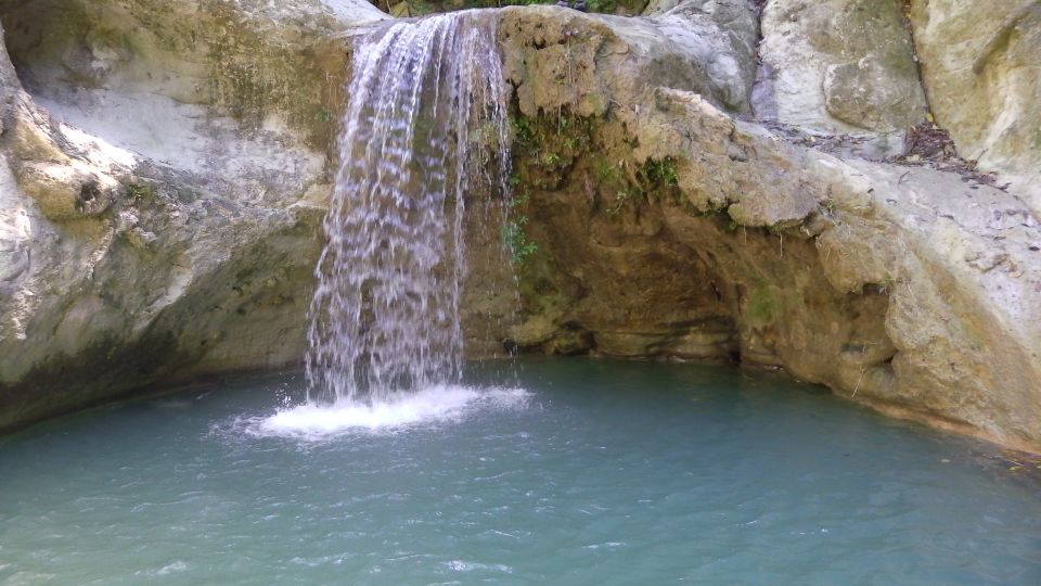 Puerto Plata: Half-Day Damajagua Waterfalls Adventure - Tour Guide Languages