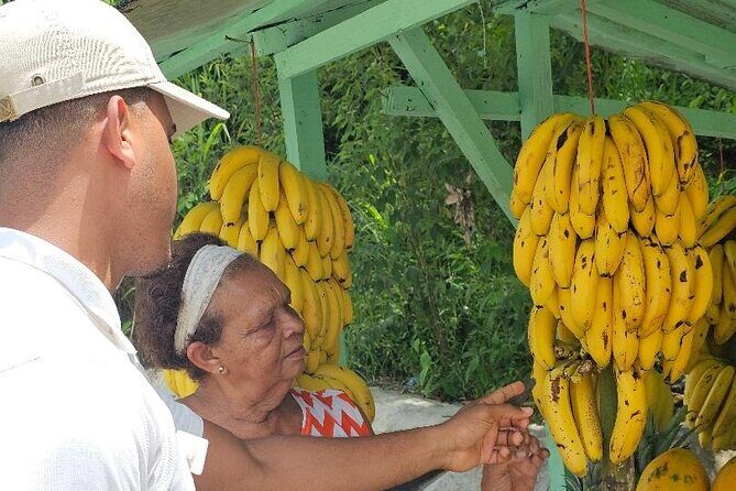 Puerto Plata Historic Town & Countryside - Amber Cove & Taino Bay - Who Will Enjoy This Tour?
