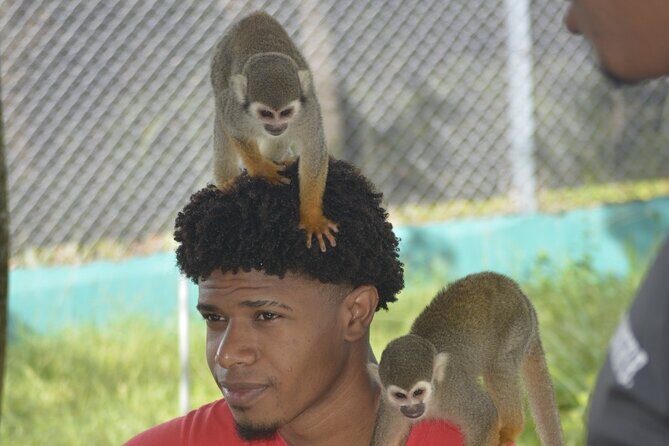 Puerto Plata Monkey Home Tour by Minivan - What to Expect on the Puerto Plata Monkey Home Tour