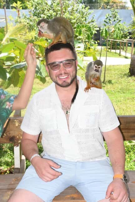 Puerto Plata: Monkey Tour and a Glimpse of Cows and Pigs - An Introduction to the Experience