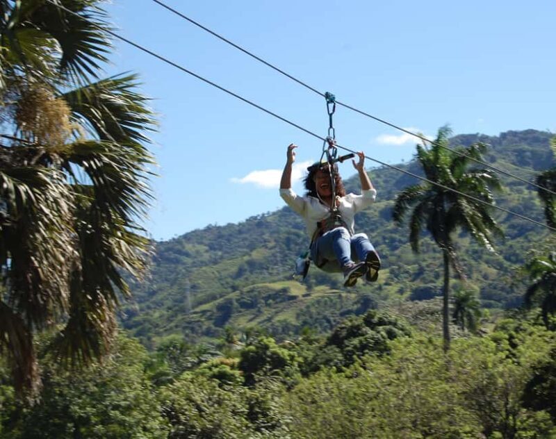 Puerto Plata: Monkeyland and Zip-Line Adventure - An Adventurous Introduction to Puerto Plata’s Natural Wonders
