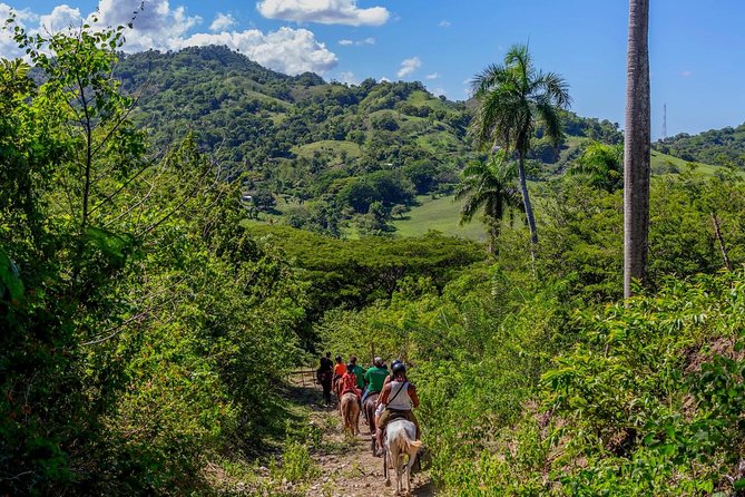 Puerto Plata: Mountain Half Day Horseback Riding - Health and Safety Restrictions