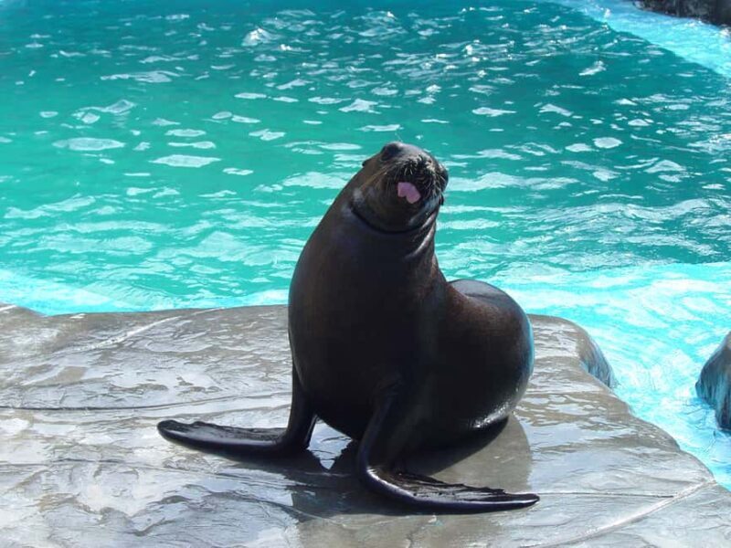 Puerto Plata: Ocean World Adventure Park Day Pass - Practical Considerations