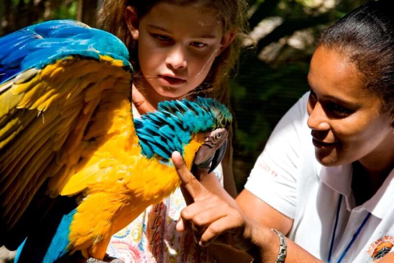 Puerto Plata: Ocean World Adventure Park Day Pass - FAQs