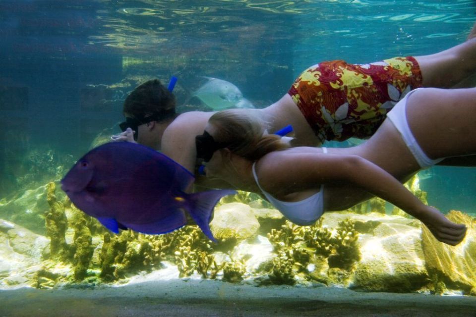 Puerto Plata: Ocean World Adventure Park Day Pass - Rainforest and Exhibits