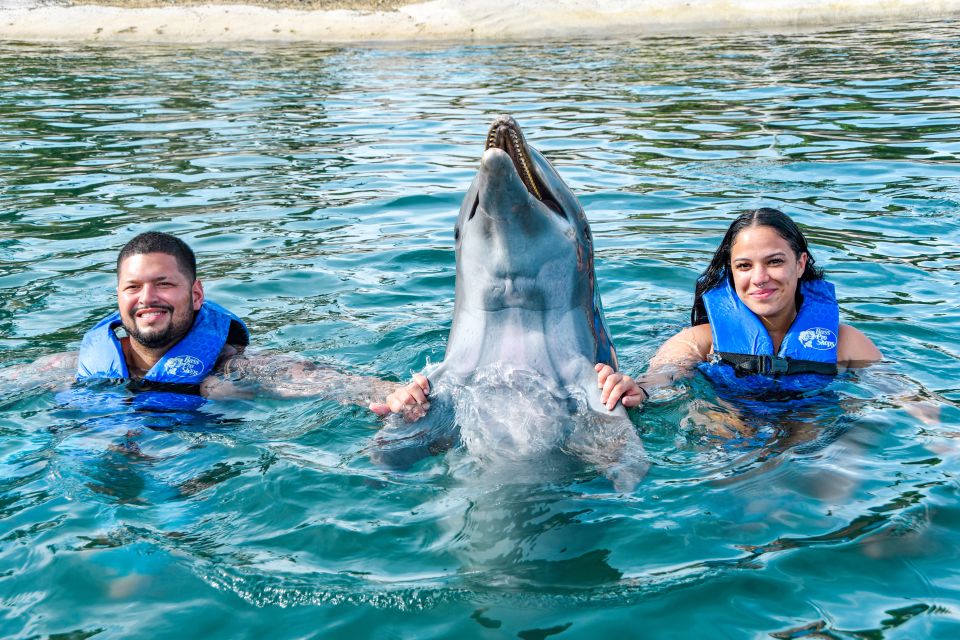 Puerto Plata: Ocean World Adventure Park Swim With Dolphins - Key Points