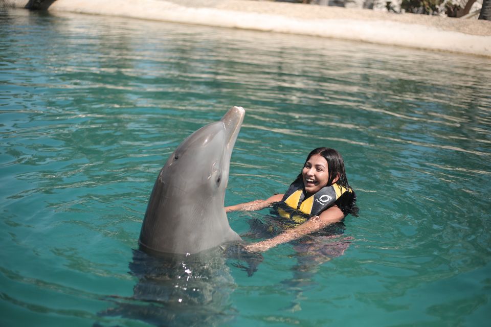 Puerto Plata Ocean World Dolphin Swim - Pricing and Booking