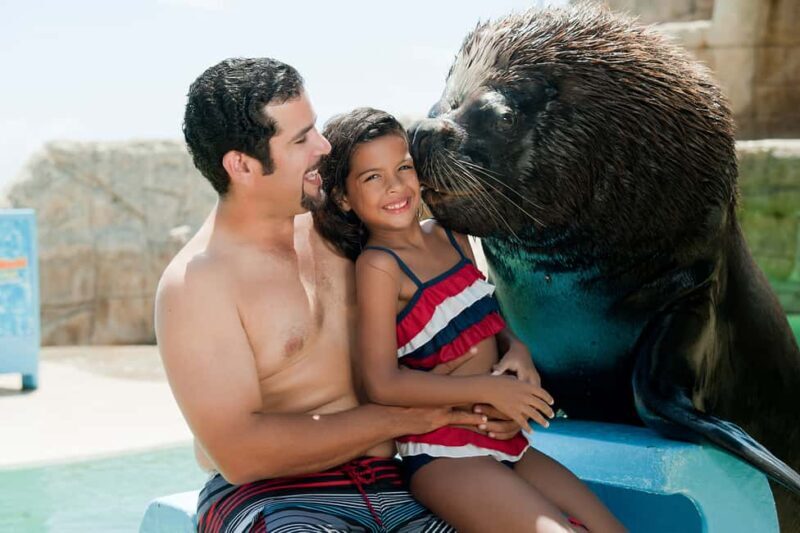 Puerto Plata Ocean World Tickets - A Detailed Look at Puerto Plata Ocean World