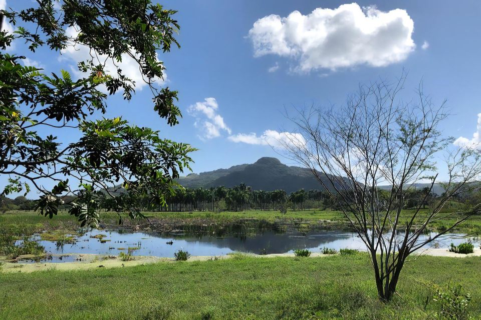 Puerto Plata Off-Road ATV Adventure - Important Information