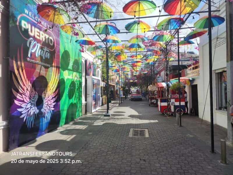 Puerto Plata: Panoramic Tours, Butterfly Garden, Countryside Views - Who Should Consider This Tour?