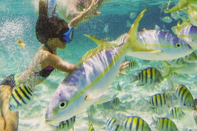 Puerto Plata : Party Boat Catamaran to Sosúa Bay - Pricing and Value