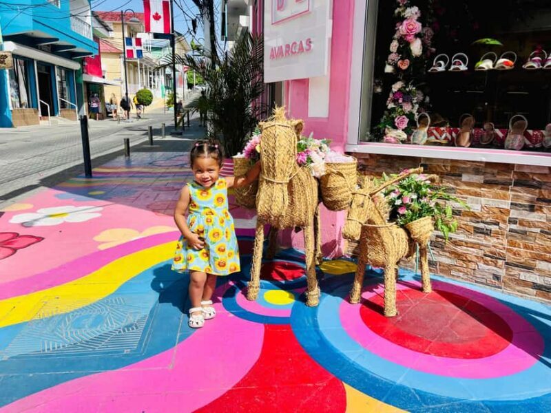 Puerto Plata Private City Tour - Assessing the Value