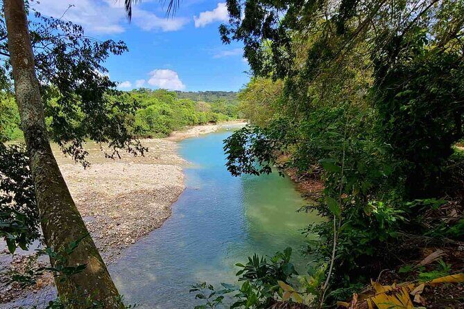 Puerto Plata Rejoya River Excursion Amber Cove Taino Bay Hotels - An Authentic Adventure in Puerto Plata