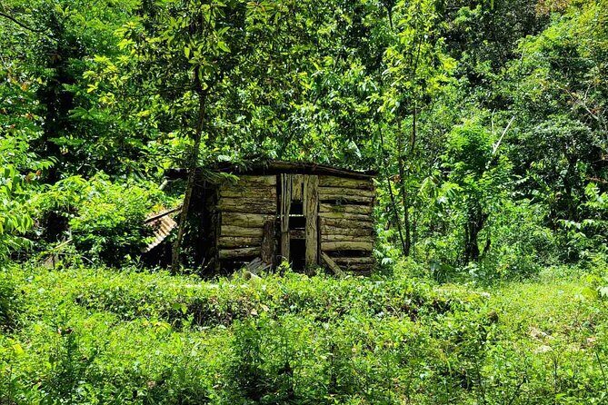 Puerto Plata Rejoya River Excursion Amber Cove Taino Bay Hotels - Authentic Encounters and Local Flavor