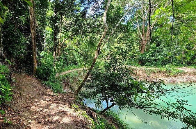 Puerto Plata Rejoya River Excursion Amber Cove Taino Bay Hotels - The Reviews Say It All