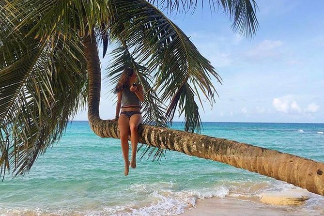 Puerto Plata- Rio San Juan Round Trip Shuttle- 1-6 Passangers - Traveler Experience
