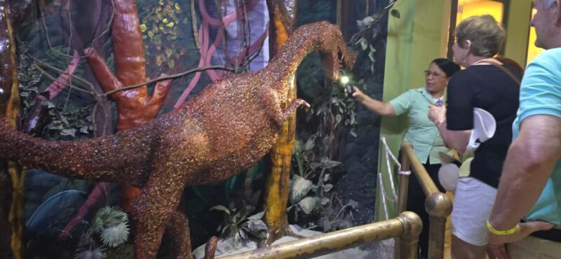 Puerto Plata: Scenic City Tour with Mount Isabel and Lunch - Key Points