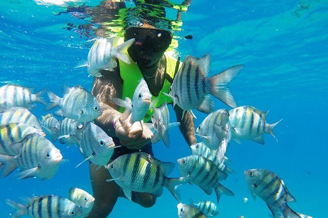 Puerto Plata Shore Excursion, Snorkeling tour & Sosua Beach Day - Key Points
