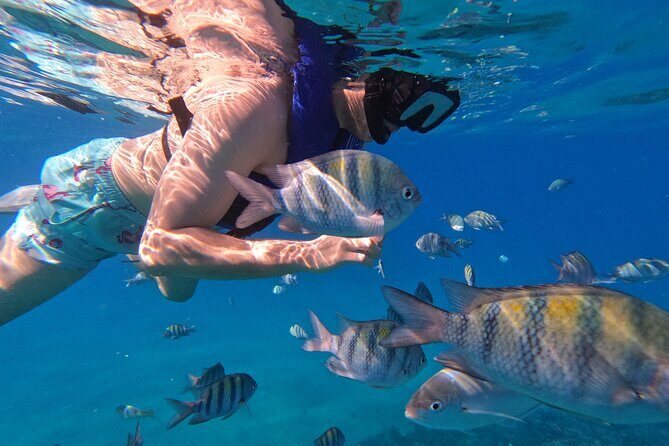 Puerto Plata Shore Excursion, Snorkeling tour & Sosua Beach Day - What Travelers Say: Authentic Perspectives