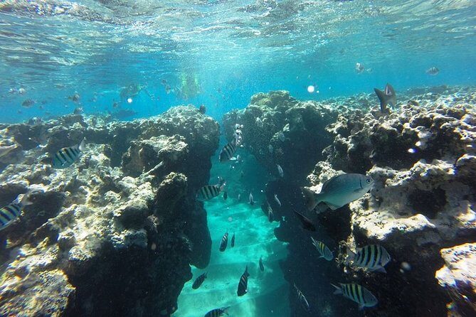 Puerto Plata Shore Excursion, Snorkeling tour & Sosua Beach Day - Final Thoughts