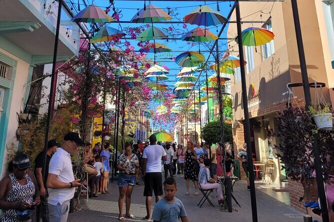 Puerto Plata Sightseeing & Horse Riding | Amber Cove & Taino Bay - Frequently Asked Questions